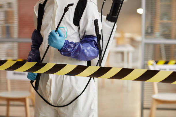 Professional Hoarding Cleanup technician working in Mathis, TX